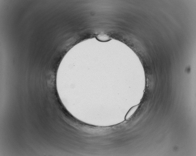 X0000116430036201001191520