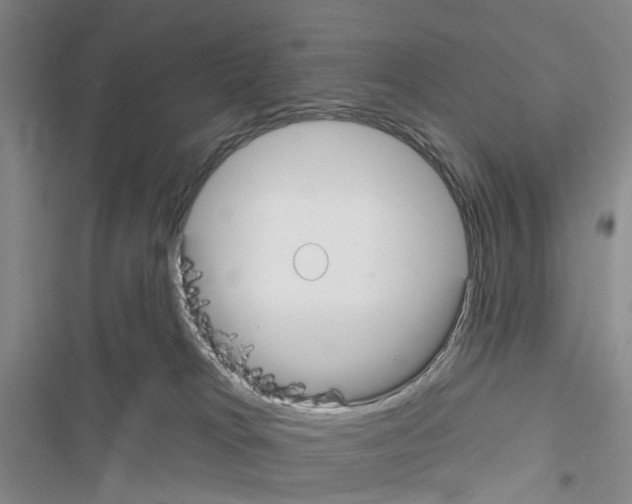 X0000116430037201001191520