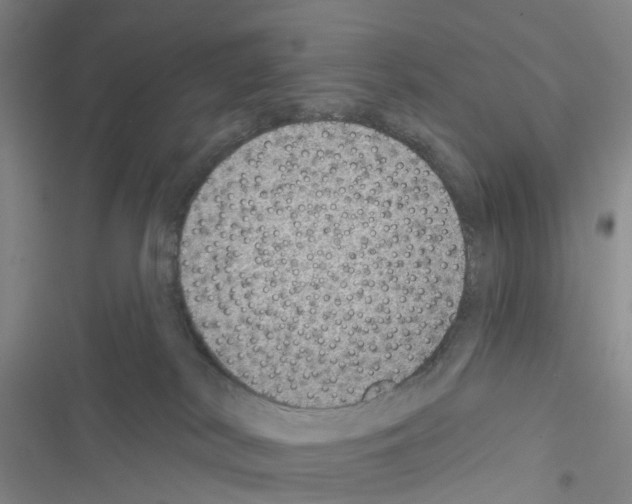 X0000116430038201001191520