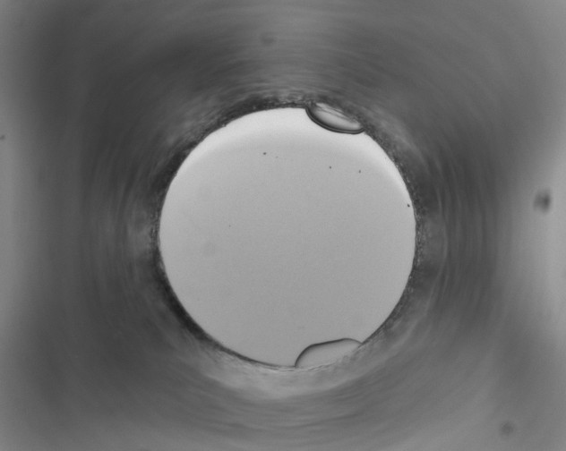 X0000116430039201001191520