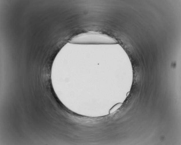 X0000116430040201001191520