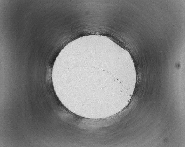 X0000116430041201001191520