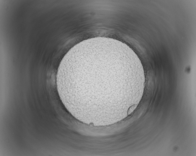 X0000116430042201001191520