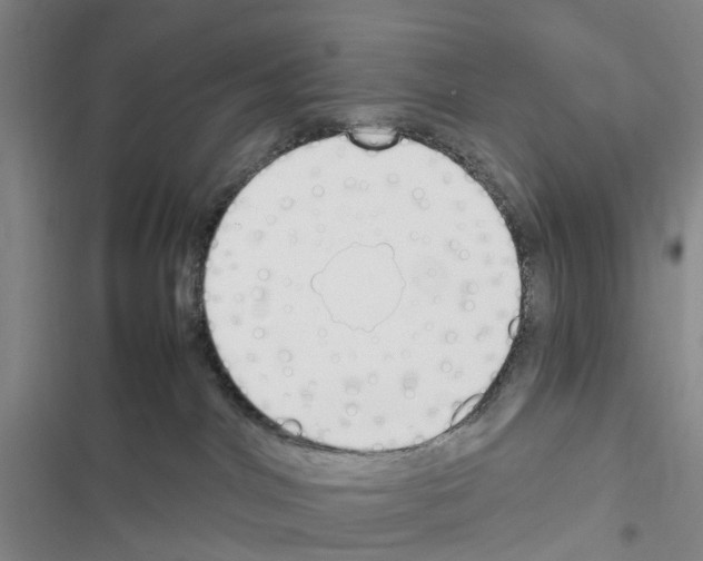 X0000116430044201001191520