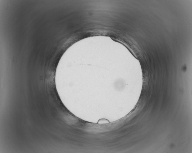 X0000116430045201001191520