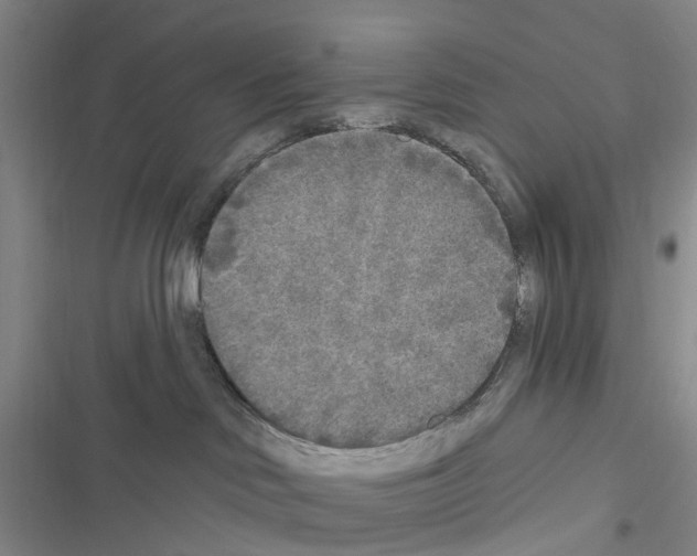 X0000116430046201001191520