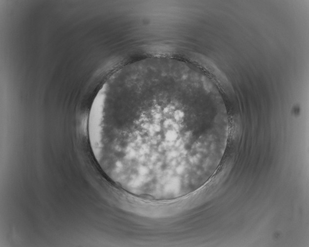 X0000116430047201001191520