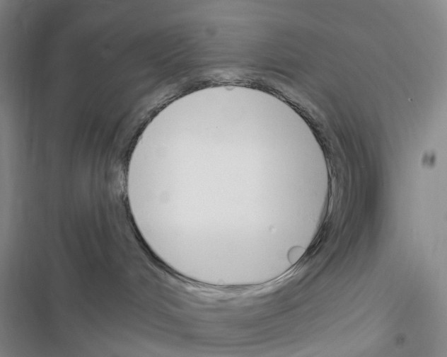 X0000116430048201001191520