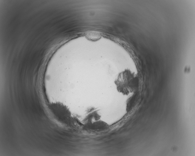 X0000116430049201001191519