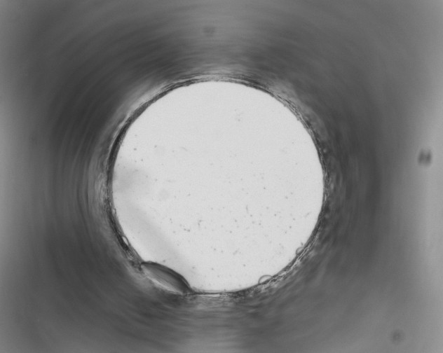 X0000116430050201001191519