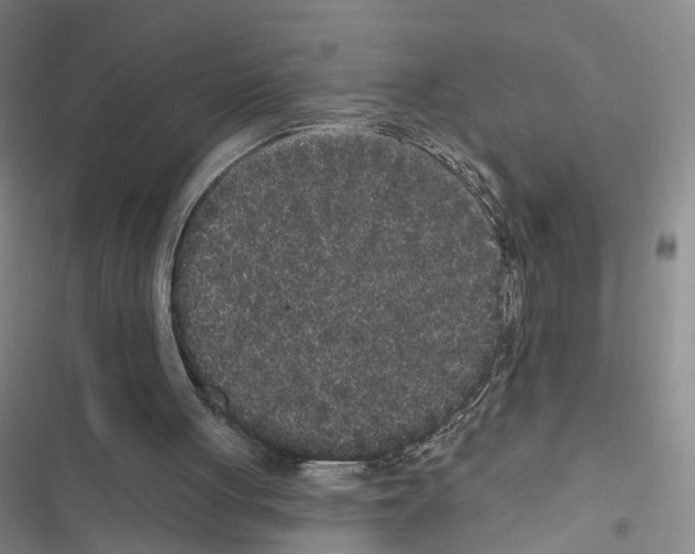 X0000116430051201001191519