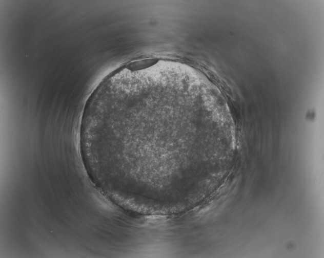 X0000116430052201001191519