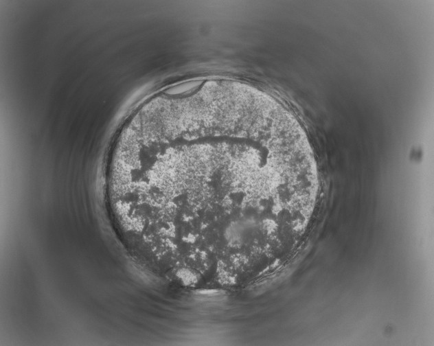 X0000116430053201001191519