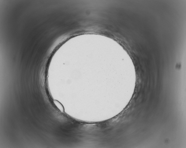 X0000116430054201001191519