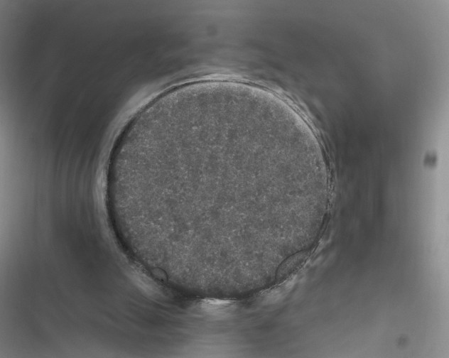 X0000116430055201001191519