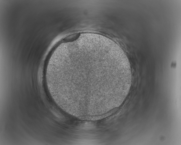 X0000116430056201001191519