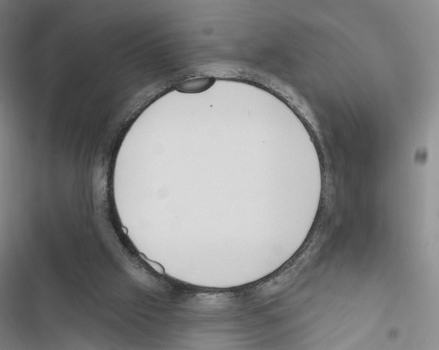 X0000116430057201001191519