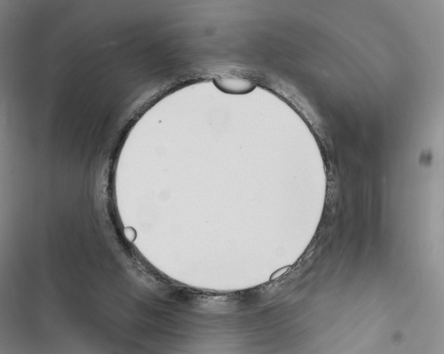 X0000116430058201001191519