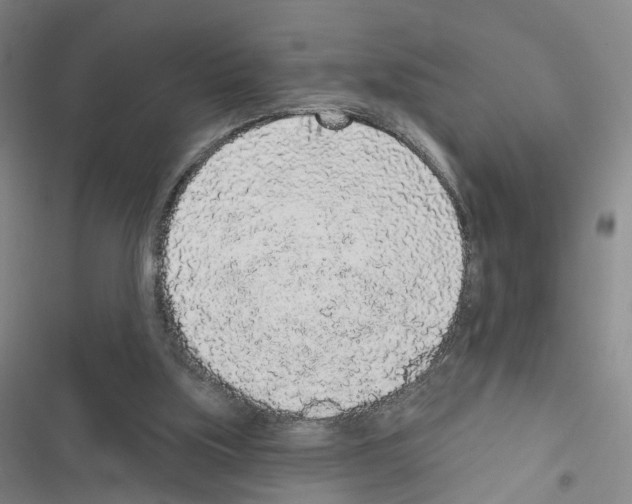 X0000116430059201001191519