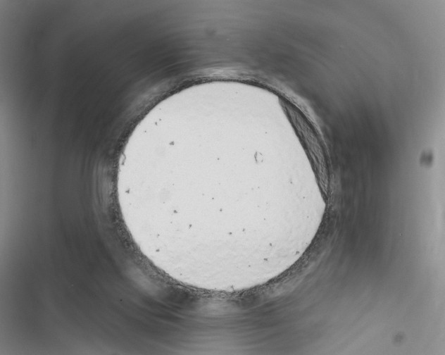 X0000116430061201001191519