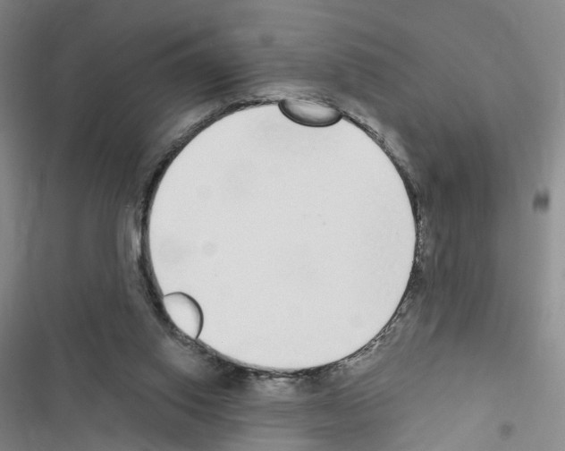 X0000116430062201001191519