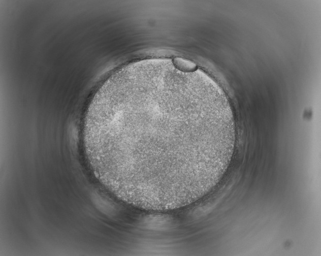 X0000116430063201001191519