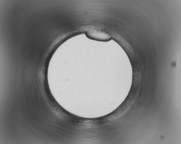 X0000116430064201001191519