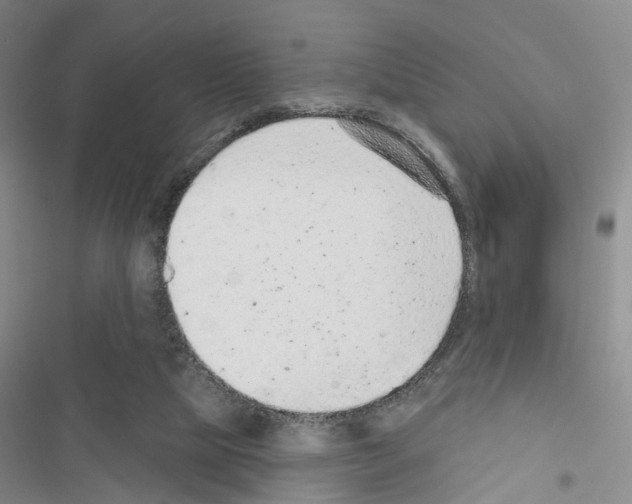 X0000116430065201001191519