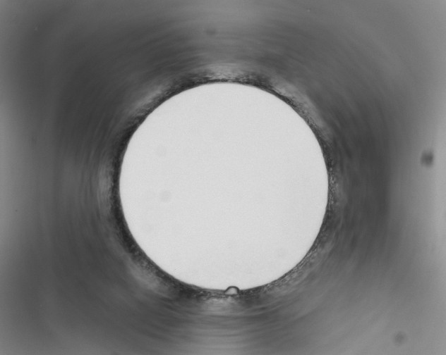 X0000116430066201001191519