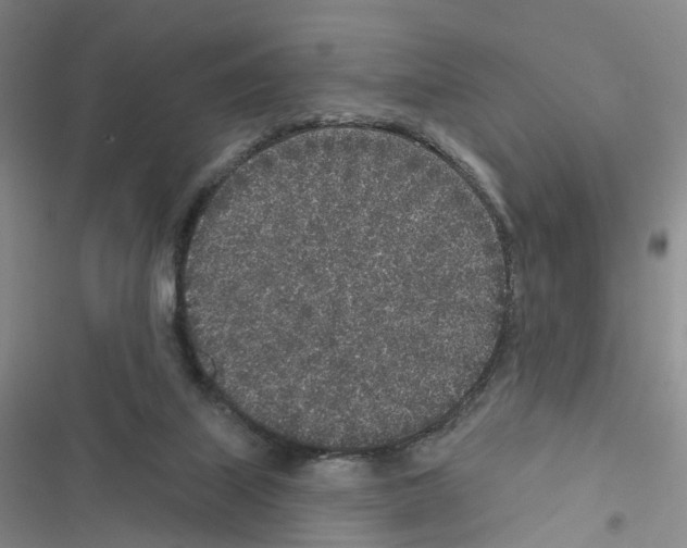 X0000116430067201001191519