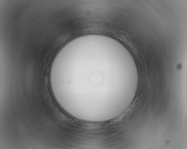 X0000116430070201001191519