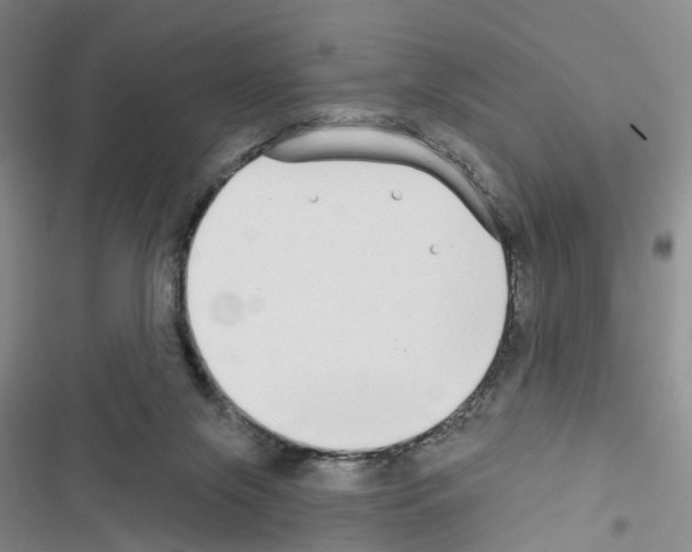 X0000116430071201001191519