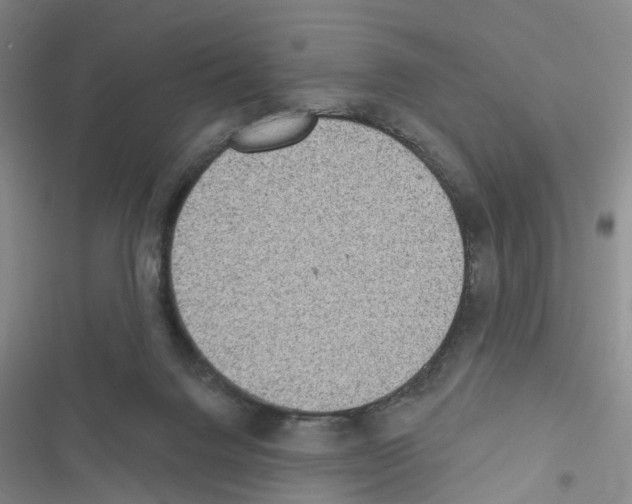 X0000116430072201001191519