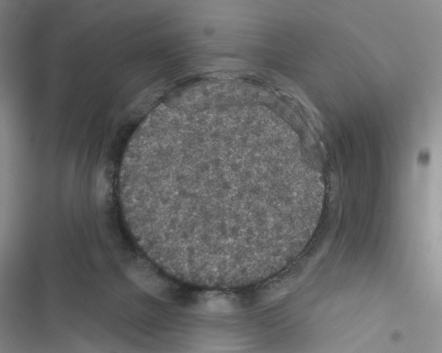 X0000116430073201001191519