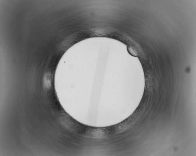 X0000116430075201001191520