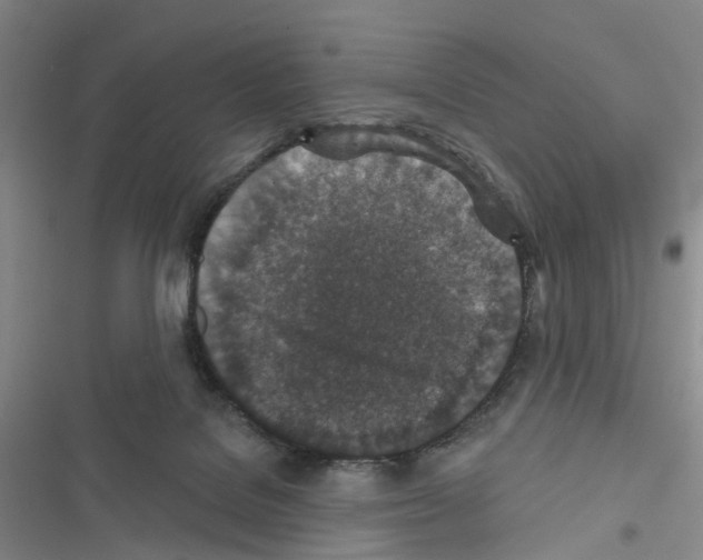 X0000116430076201001191520