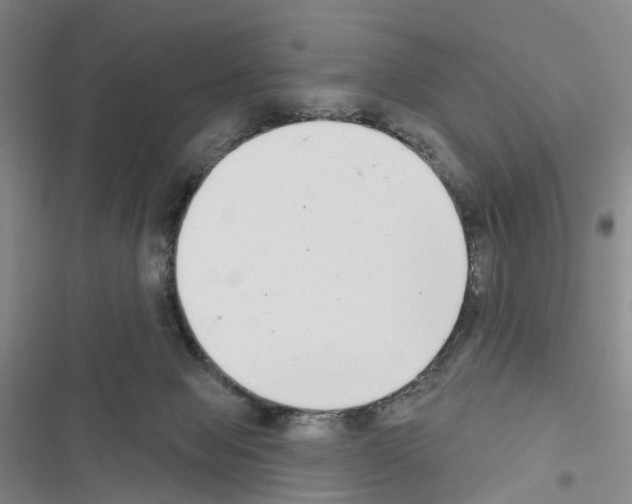 X0000116430077201001191520