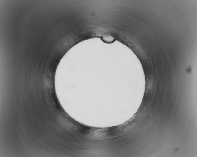 X0000116430078201001191520