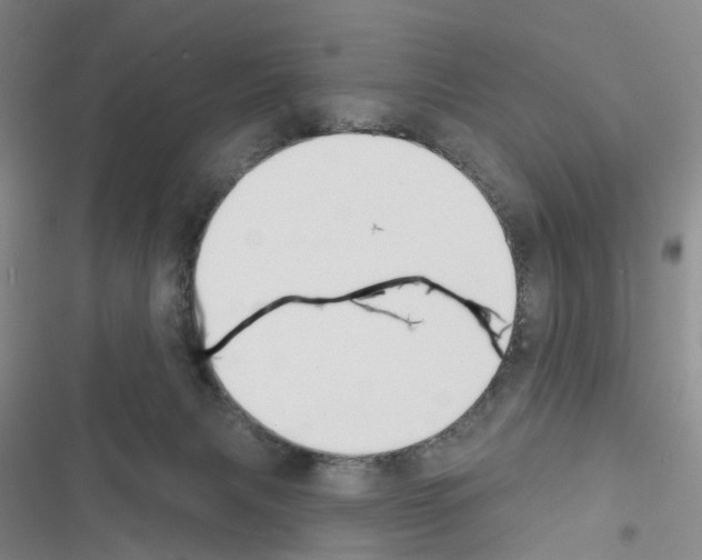 X0000116430079201001191520