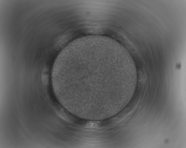 X0000116430080201001191520