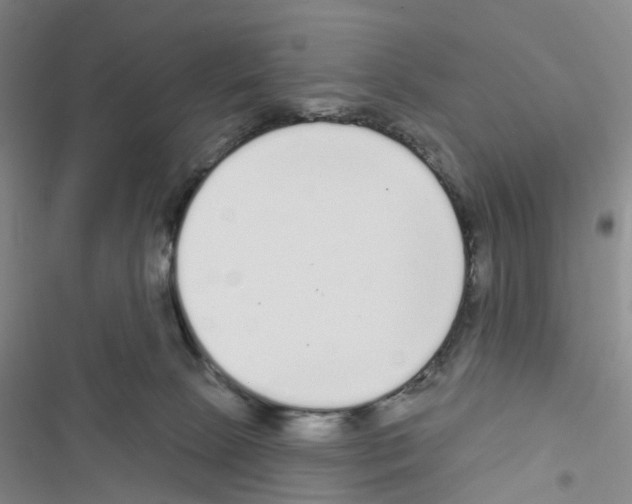 X0000116430081201001191520