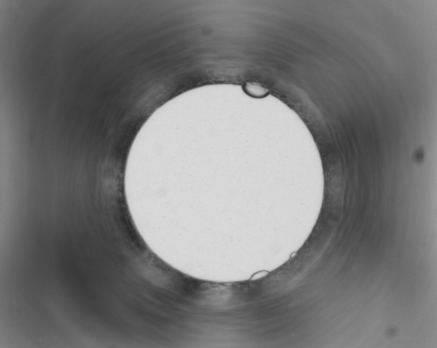 X0000116430083201001191520