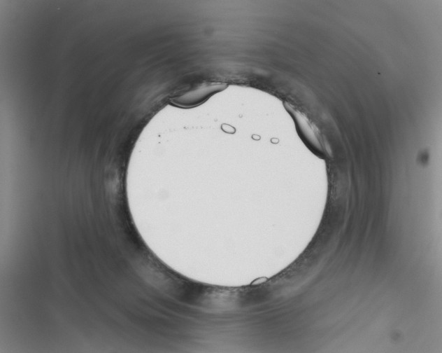X0000116430084201001191520