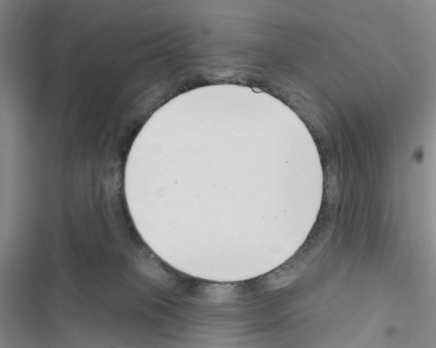 X0000116430085201001191520