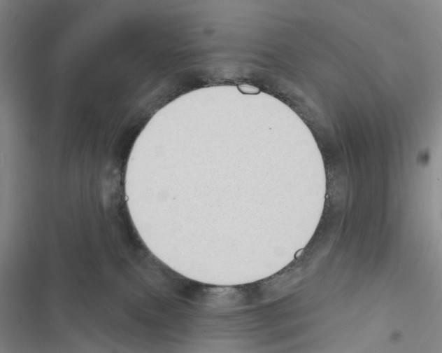 X0000116430087201001191520