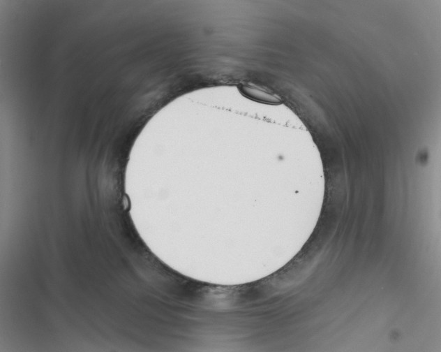 X0000116430088201001191520