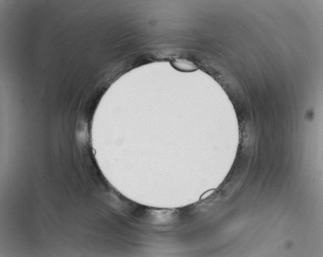 X0000116430089201001191520