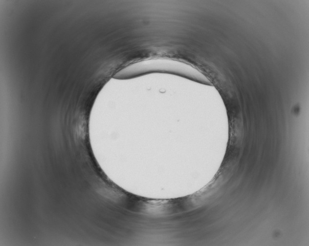 X0000116430090201001191520