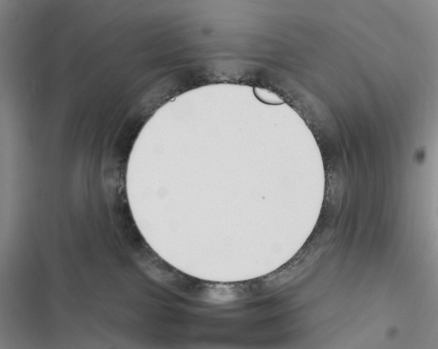 X0000116430091201001191520