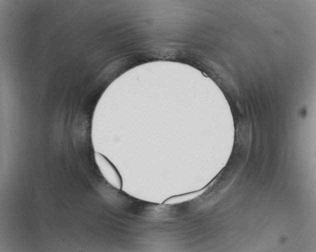 X0000116430092201001191520
